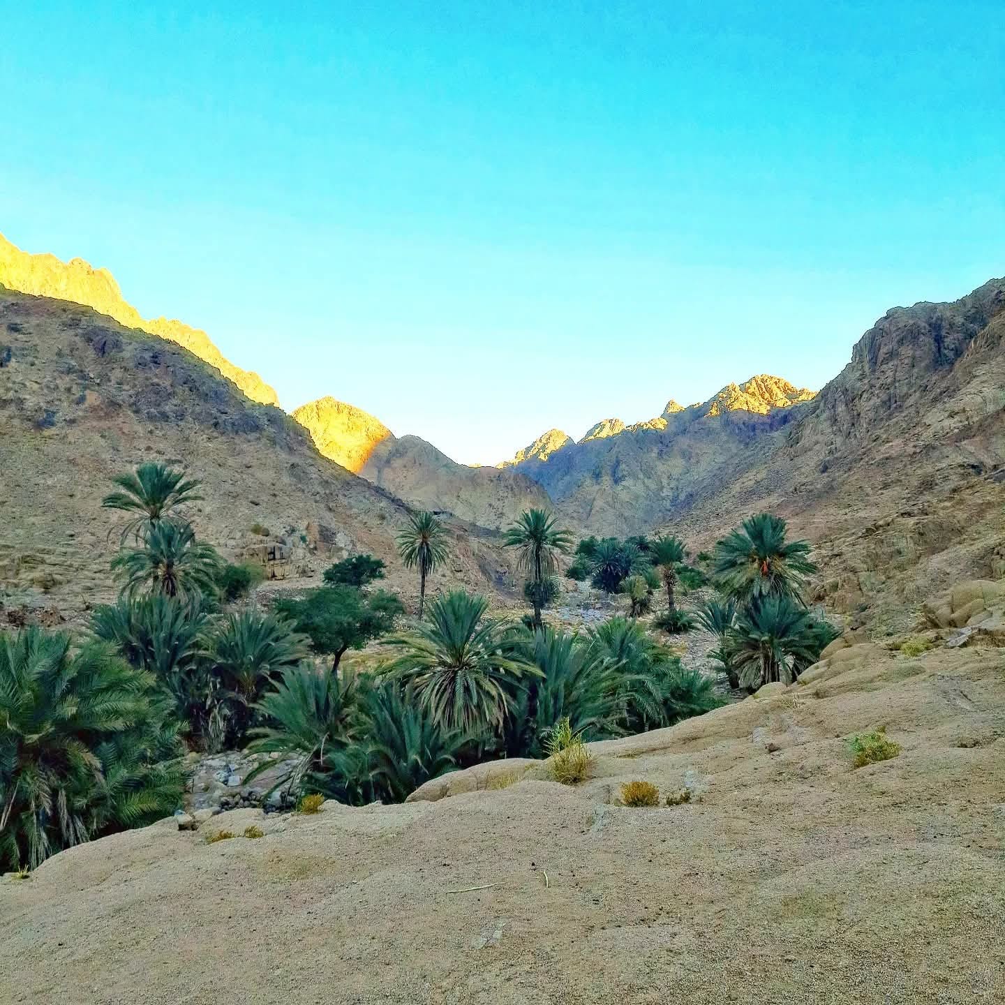 Wadi Ittlah